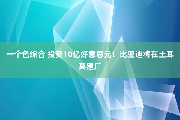 一个色综合 投资10亿好意思元！比亚迪将在土耳其建厂