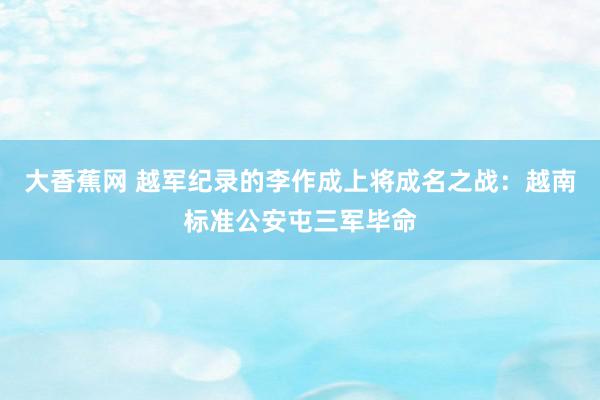 大香蕉网 越军纪录的李作成上将成名之战：越南标准公安屯三军毕命