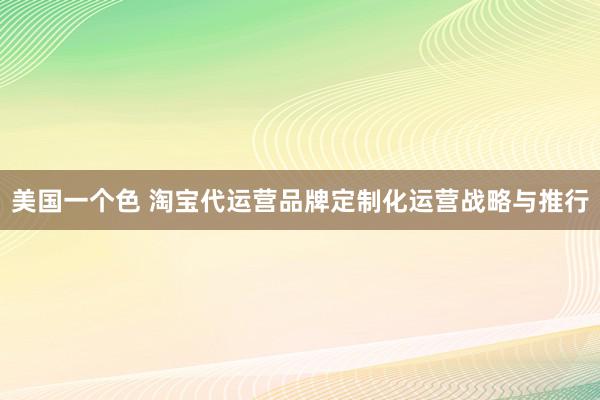 美国一个色 淘宝代运营品牌定制化运营战略与推行