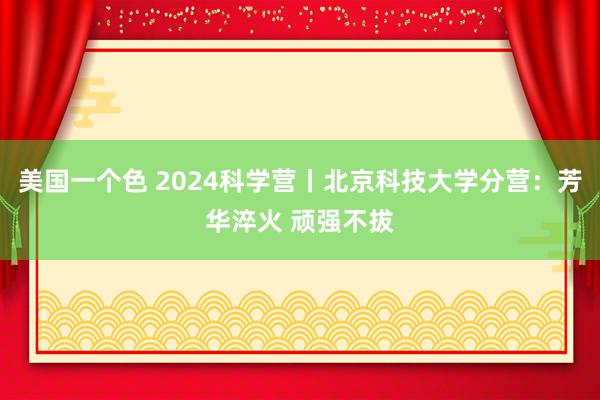 美国一个色 2024科学营丨北京科技大学分营：芳华淬火 顽强不拔