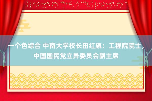 一个色综合 中南大学校长田红旗：工程院院士，中国国民党立异委员会副主席